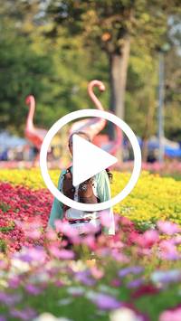 BIB:  <button type="button" onclick="openModal(27583317)" class="btn btn-primary btn-sm float-right" data-toggle="modal" data-target=".modal-high-quality">
                <i class="fa fa-download"></i> Download
                </button>